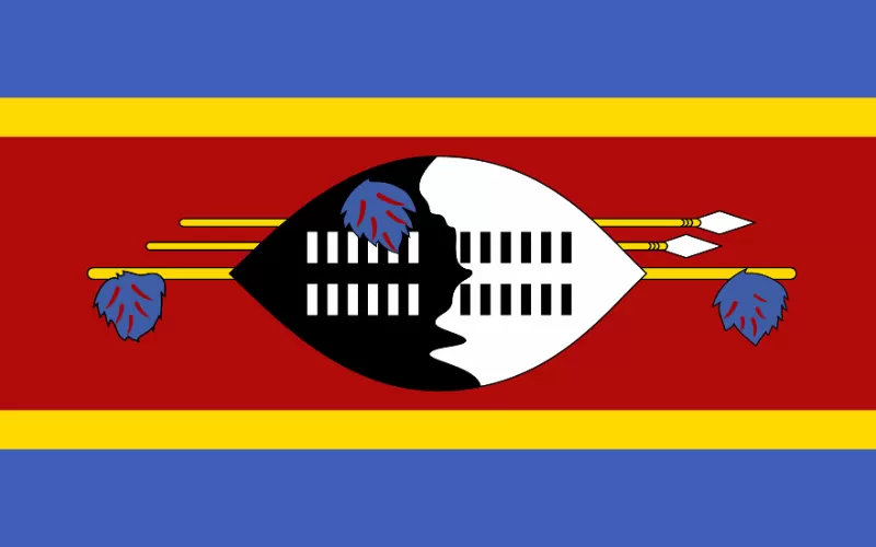 Vietnam visa for citizens of Swaziland (Eswatini)